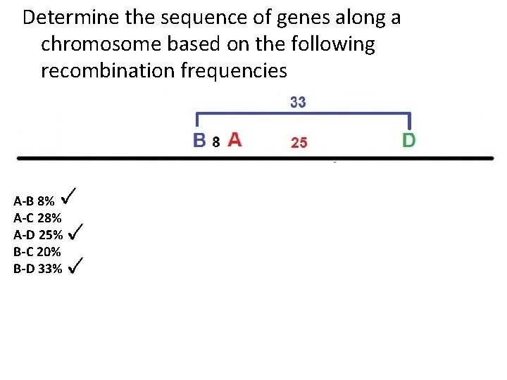 Determine the sequence of genes along a chromosome based on the following recombination frequencies