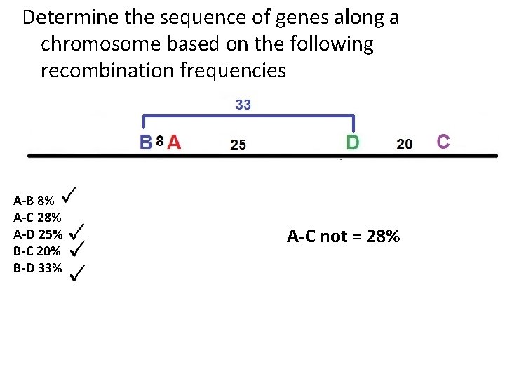 Determine the sequence of genes along a chromosome based on the following recombination frequencies