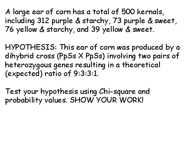 A large ear of corn has a total of 500 kernals, including 312 purple