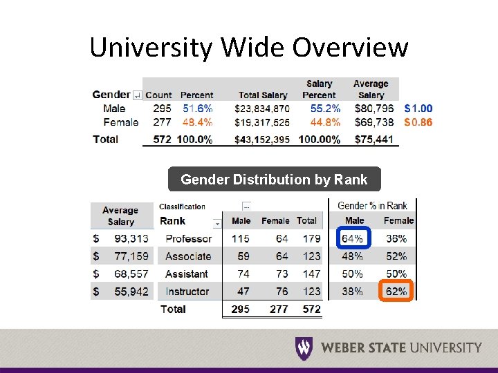 University Wide Overview Gender Distribution by Rank 