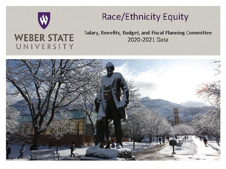 Race/Ethnicity Equity Salary, Benefits, Budget, and Fiscal Planning Committee 2020 -2021 Data 