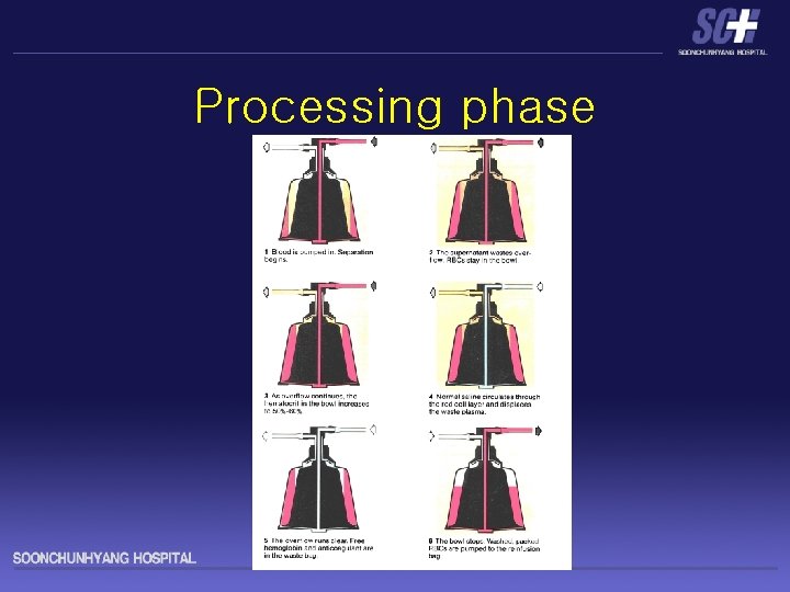 Processing phase 