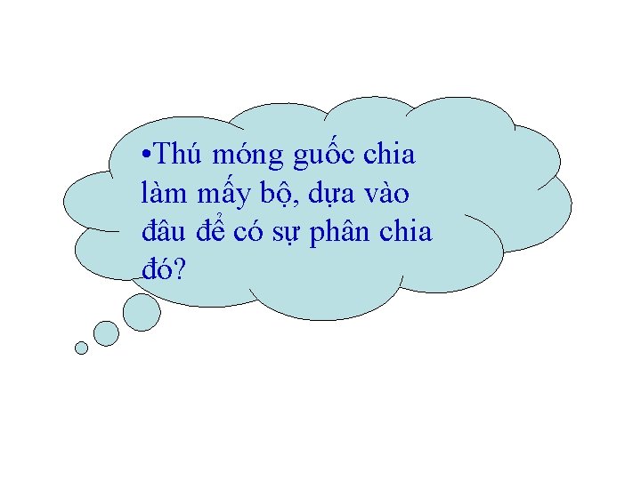  • Thú móng guốc chia làm mấy bộ, dựa vào đâu để có