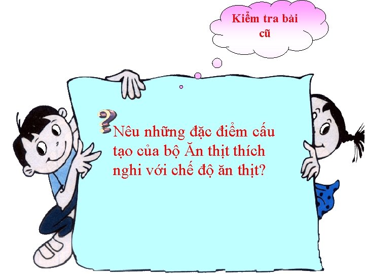 Kiểm tra bài cũ Nêu những đặc điểm cấu tạo của bộ Ăn thịt