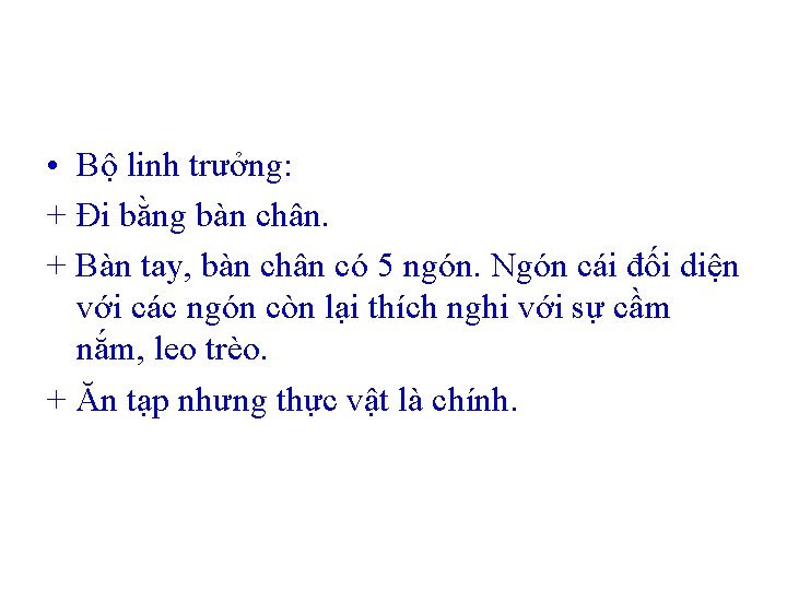  • Bộ linh trưởng: + Đi bằng bàn chân. + Bàn tay, bàn