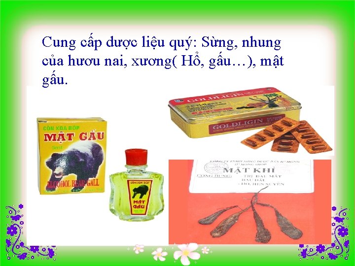 Cung cấp dược liệu quý: Sừng, nhung của hươu nai, xương( Hổ, gấu…), mật