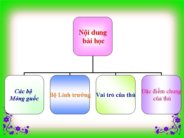 Nội dung bài học Các bộ Móng guốc Bộ Linh trưởng Vai trò của