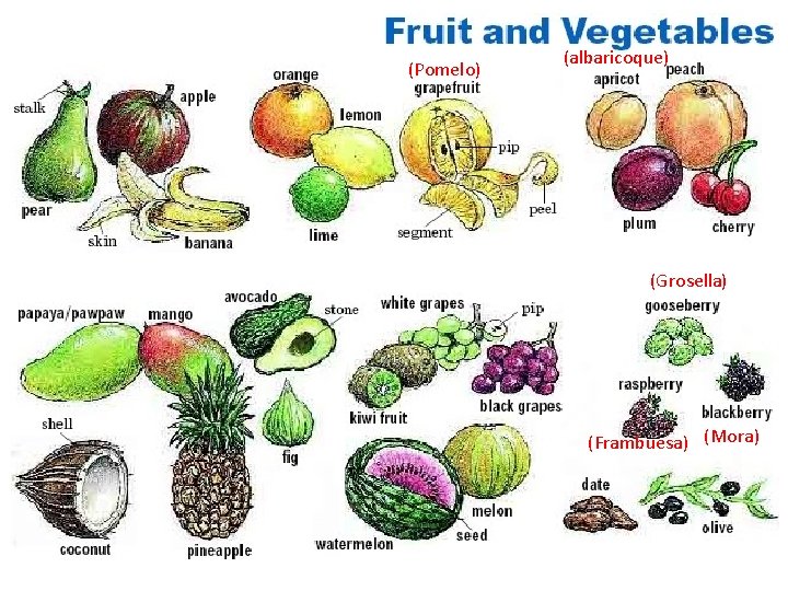 (Pomelo) (albaricoque) (Grosella) (Frambuesa) (Mora) 