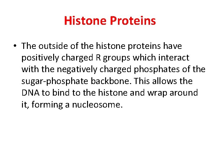 Histone Proteins • The outside of the histone proteins have positively charged R groups