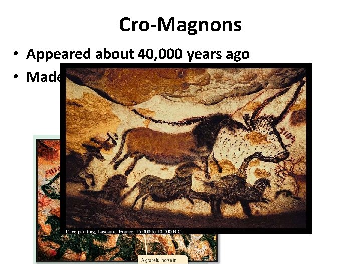 Cro-Magnons • Appeared about 40, 000 years ago • Made finely crafted tools and