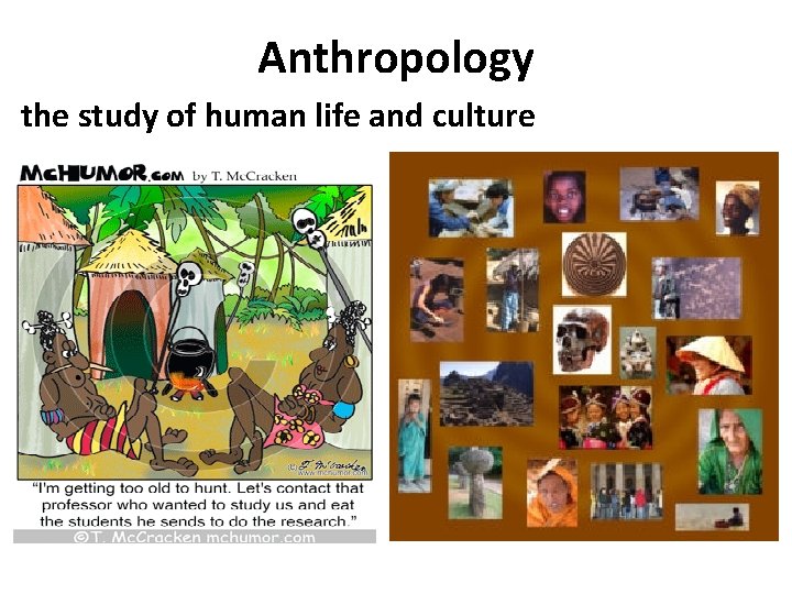 Anthropology the study of human life and culture 