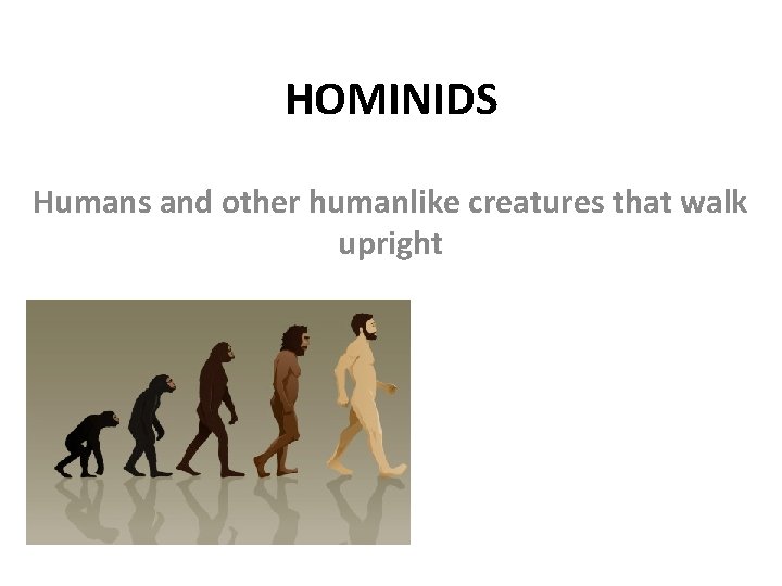 HOMINIDS Humans and other humanlike creatures that walk upright 