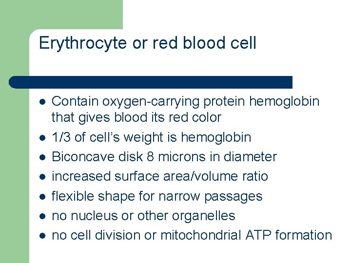Erythrocyte or red blood cell l l l Contain oxygen-carrying protein hemoglobin that gives