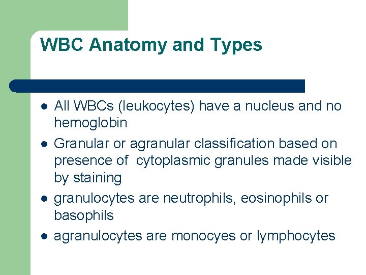 WBC Anatomy and Types l l All WBCs (leukocytes) have a nucleus and no