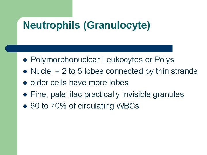 Neutrophils (Granulocyte) l l l Polymorphonuclear Leukocytes or Polys Nuclei = 2 to 5
