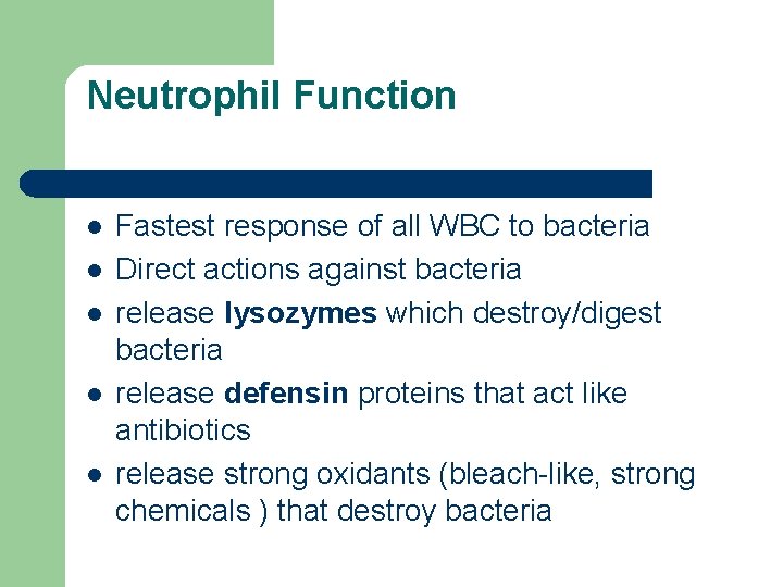 Neutrophil Function l l l Fastest response of all WBC to bacteria Direct actions
