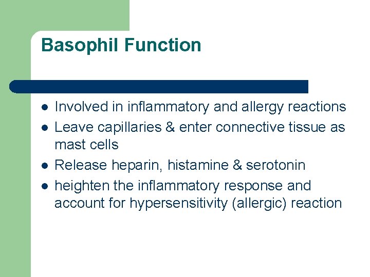 Basophil Function l l Involved in inflammatory and allergy reactions Leave capillaries & enter