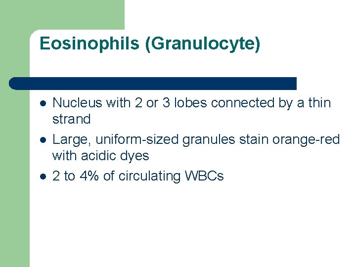 Eosinophils (Granulocyte) l l l Nucleus with 2 or 3 lobes connected by a