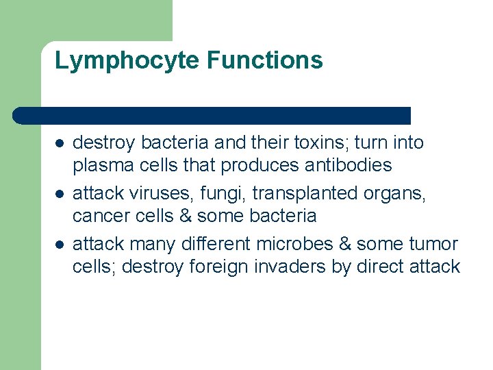 Lymphocyte Functions l l l destroy bacteria and their toxins; turn into plasma cells