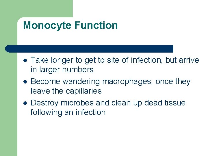 Monocyte Function l l l Take longer to get to site of infection, but