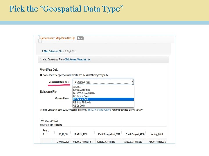 Pick the “Geospatial Data Type” 