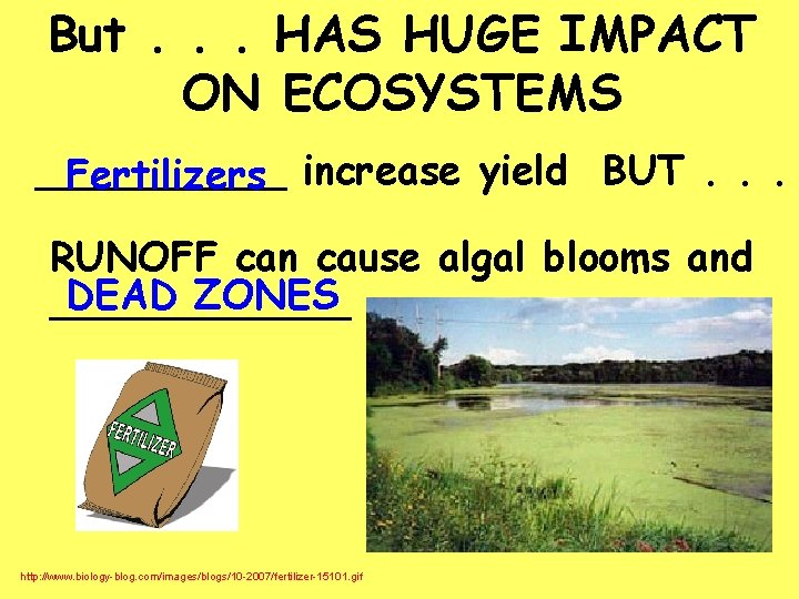 But. . . HAS HUGE IMPACT ON ECOSYSTEMS _____ Fertilizers increase yield BUT. .