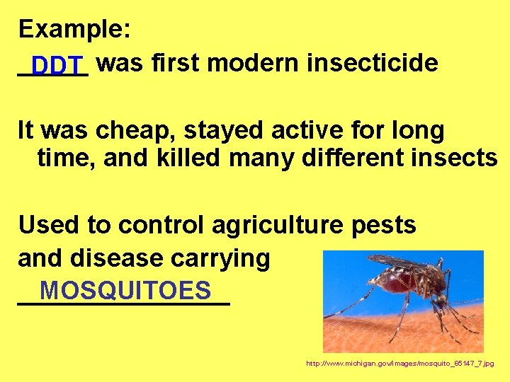 Example: _____ DDT was first modern insecticide It was cheap, stayed active for long