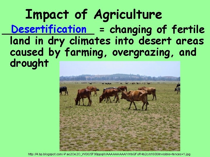 Impact of Agriculture Desertification = changing of fertile _______ land in dry climates into