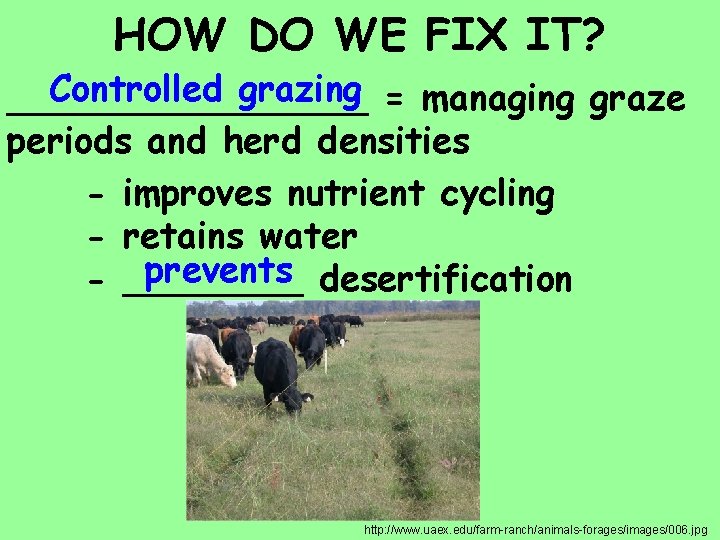 HOW DO WE FIX IT? Controlled grazing = managing graze ________ periods and herd