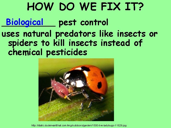 HOW DO WE FIX IT? Biological _____ pest control uses natural predators like insects