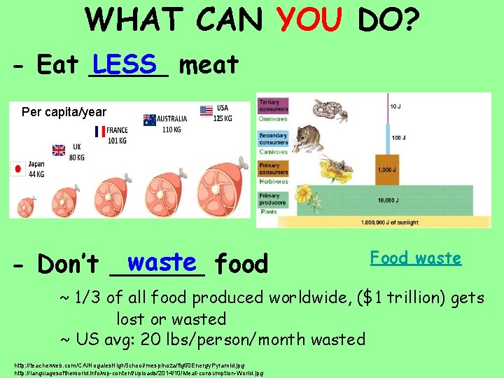 WHAT CAN YOU DO? LESS meat - Eat _____ Per capita/year waste food -