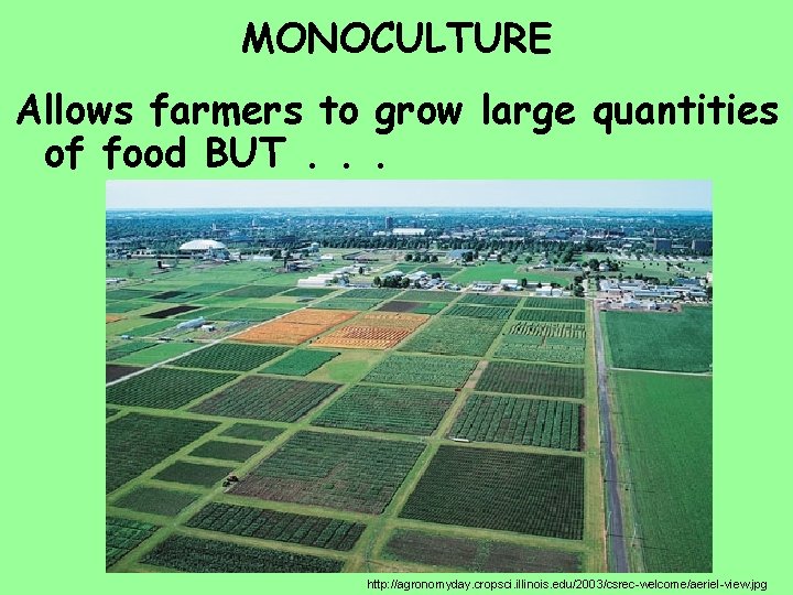 MONOCULTURE Allows farmers to grow large quantities of food BUT. . . http: //agronomyday.