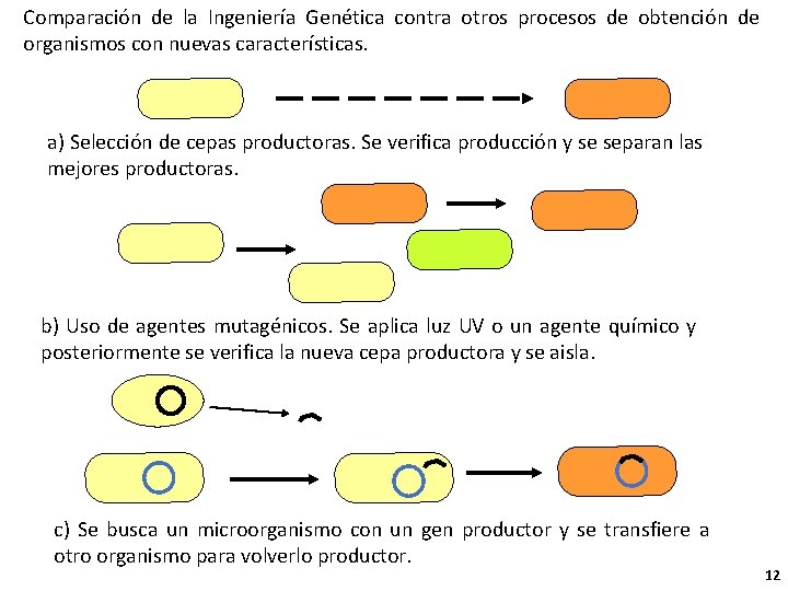 Comparación de la Ingeniería Genética contra otros procesos de obtención de organismos con nuevas