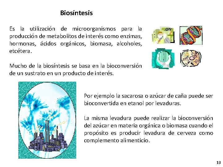 Biosíntesis Es la utilización de microorganismos para la producción de metabolitos de interés como