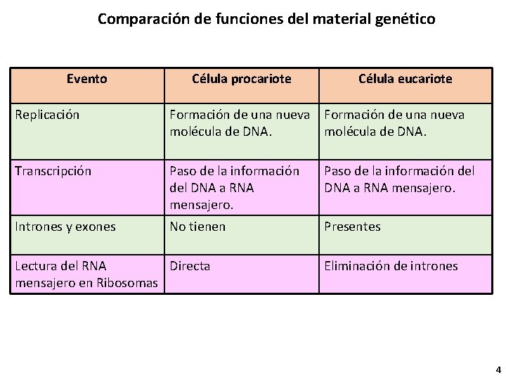 Comparación de funciones del material genético Evento Célula procariote Célula eucariote Replicación Formación de