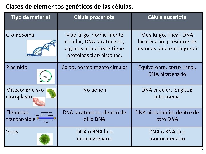 Clases de elementos genéticos de las células. Tipo de material Cromosoma Plásmido Mitocondria y/o