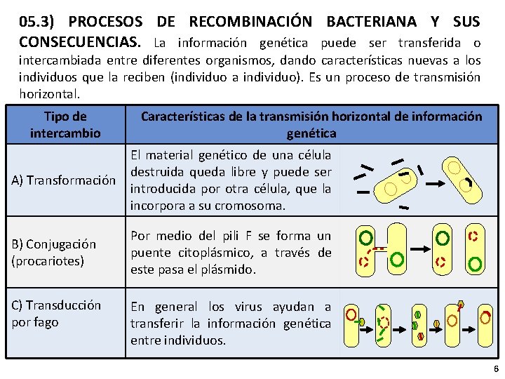 05. 3) PROCESOS DE RECOMBINACIÓN BACTERIANA Y SUS CONSECUENCIAS. La información genética puede ser