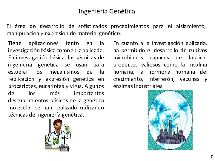 Ingeniería Genética El área de desarrollo de sofisticados procedimientos para el aislamiento, manipulación y
