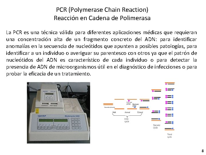 PCR (Polymerase Chain Reaction) Reacción en Cadena de Polimerasa La PCR es una técnica