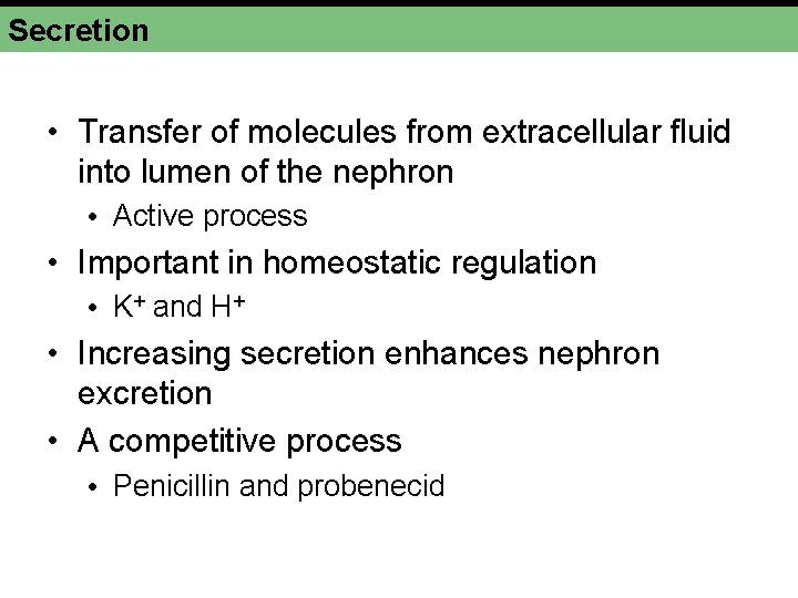 Secretion • Transfer of molecules from extracellular fluid into lumen of the nephron •