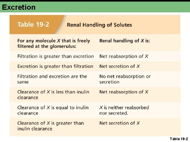 Excretion Table 19 -2 