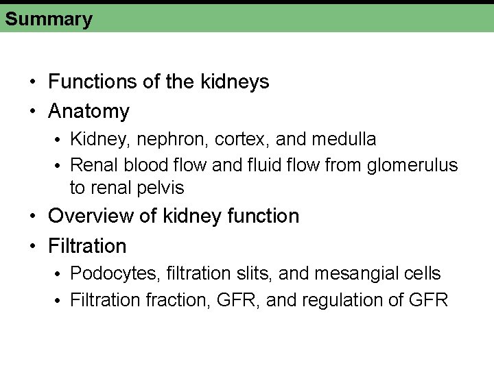 Summary • Functions of the kidneys • Anatomy • Kidney, nephron, cortex, and medulla