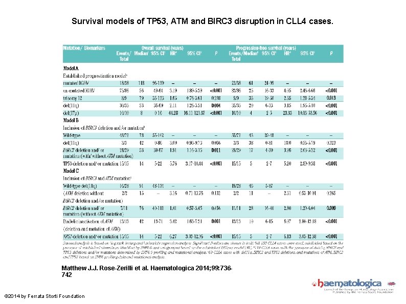 Survival models of TP 53, ATM and BIRC 3 disruption in CLL 4 cases. Survival models of TP 53, ATM and BIRC 3 disruption in CLL 4 cases.