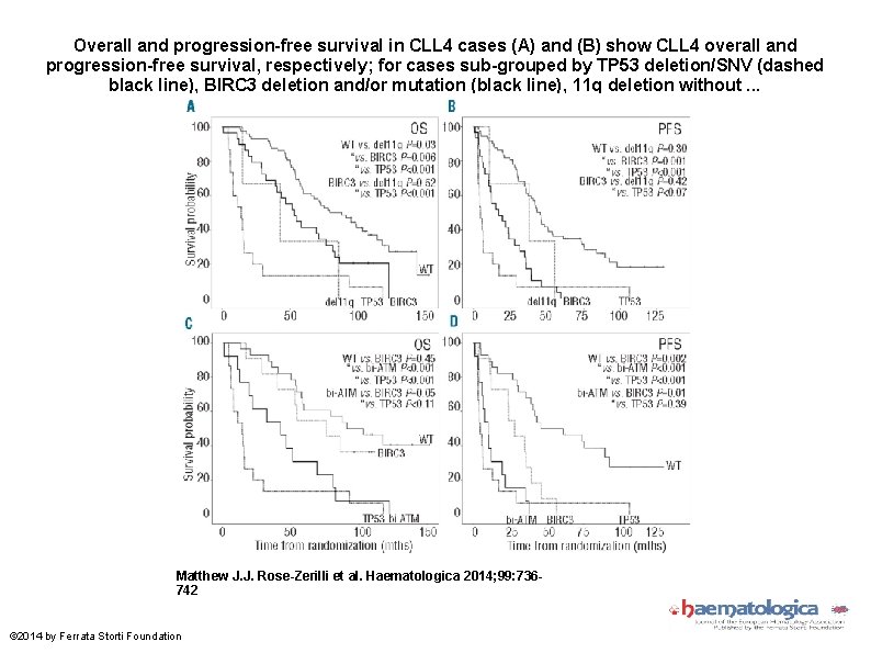 Overall and progression-free survival in CLL 4 cases (A) and (B) show CLL 4 Overall and progression-free survival in CLL 4 cases (A) and (B) show CLL 4