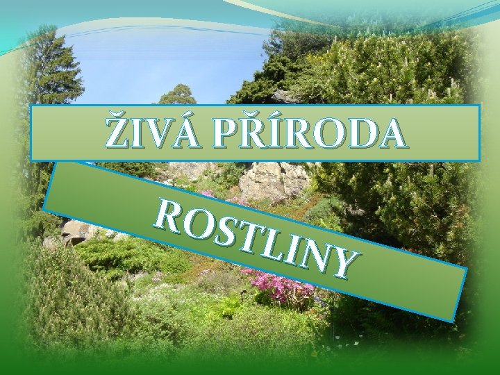 ŽIVÁ PŘÍRODA ROS TLIN Y 