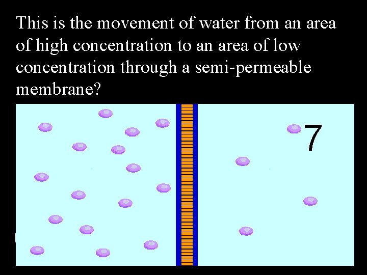 This is the movement of water from an area of high concentration to an