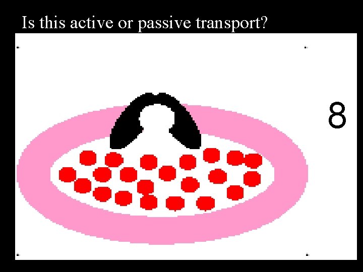 Is this active or passive transport? Transport – Goes against concentration gradient and requires