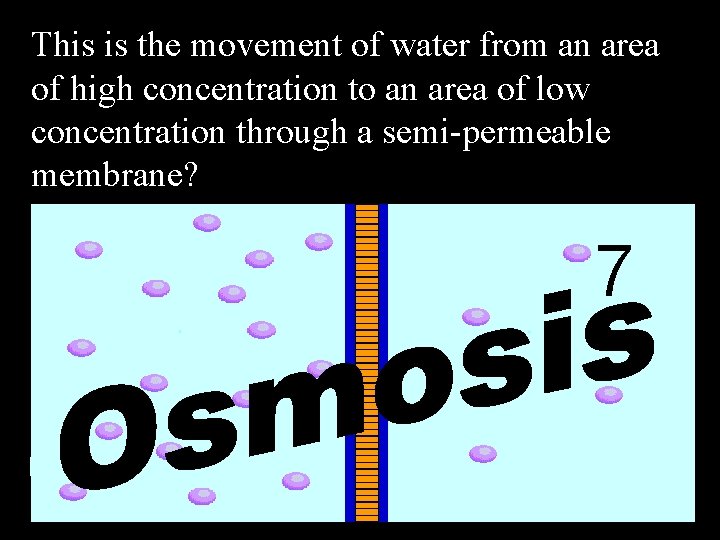 This is the movement of water from an area of high concentration to an