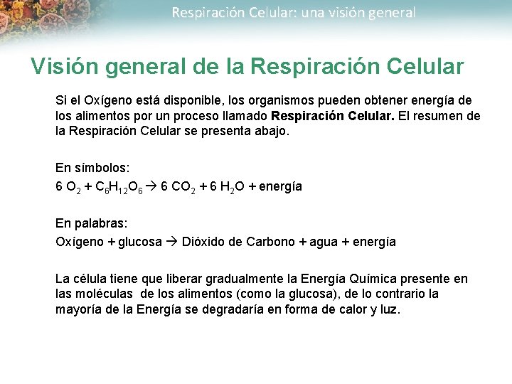 Respiración Celular: una visión general Visión general de la Respiración Celular Si el Oxígeno