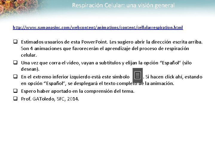 Respiración Celular: una visión general http: //www. sumanasinc. com/webcontent/animations/content/cellularrespiration. html q Estimados usuarios de